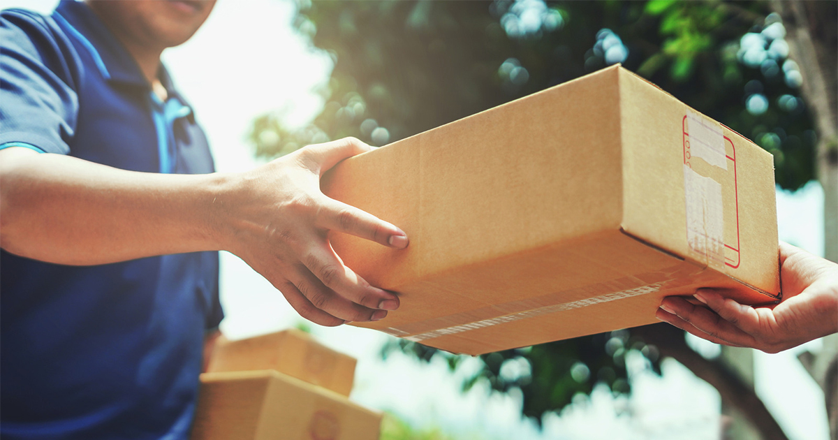 domestic courier services in South West Delhi